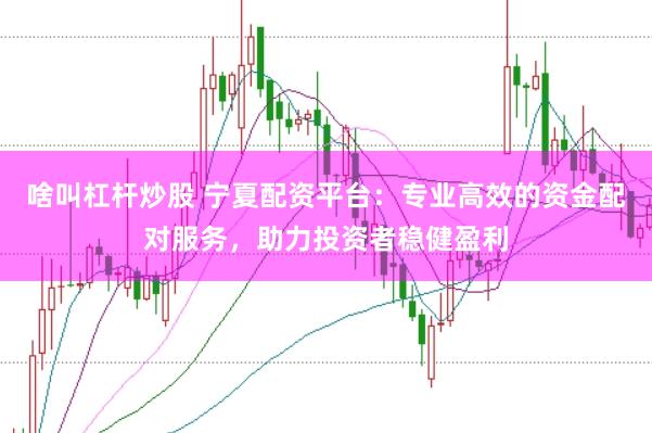 啥叫杠杆炒股 宁夏配资平台：专业高效的资金配对服务，助力投资者稳健盈利