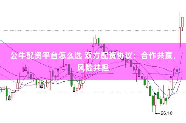 公牛配资平台怎么选 双方配资协议：合作共赢，风险共担