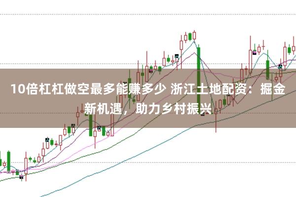 10倍杠杠做空最多能赚多少 浙江土地配资：掘金新机遇，助力乡村振兴