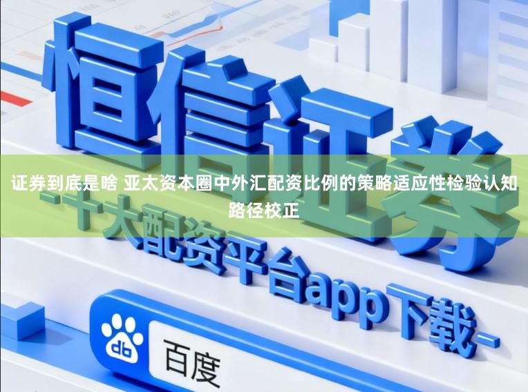 证券到底是啥 亚太资本圈中外汇配资比例的策略适应性检验认知路径校正