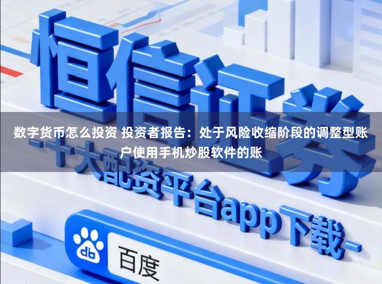 数字货币怎么投资 投资者报告：处于风险收缩阶段的调整型账户使用手机炒股软件的账